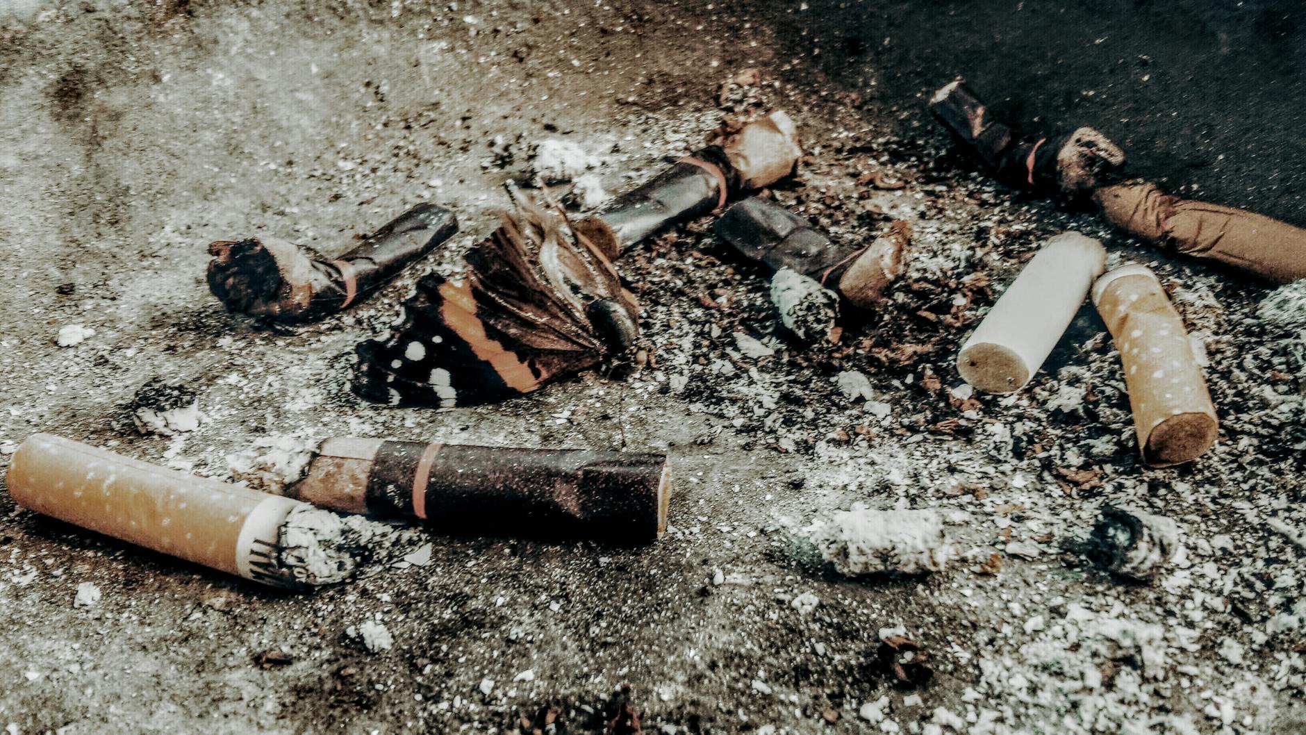 cigarette buts on brown soil